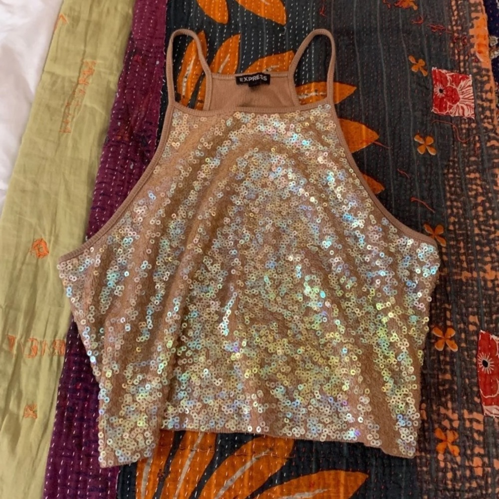 Stunning EXPRESS Crop Top